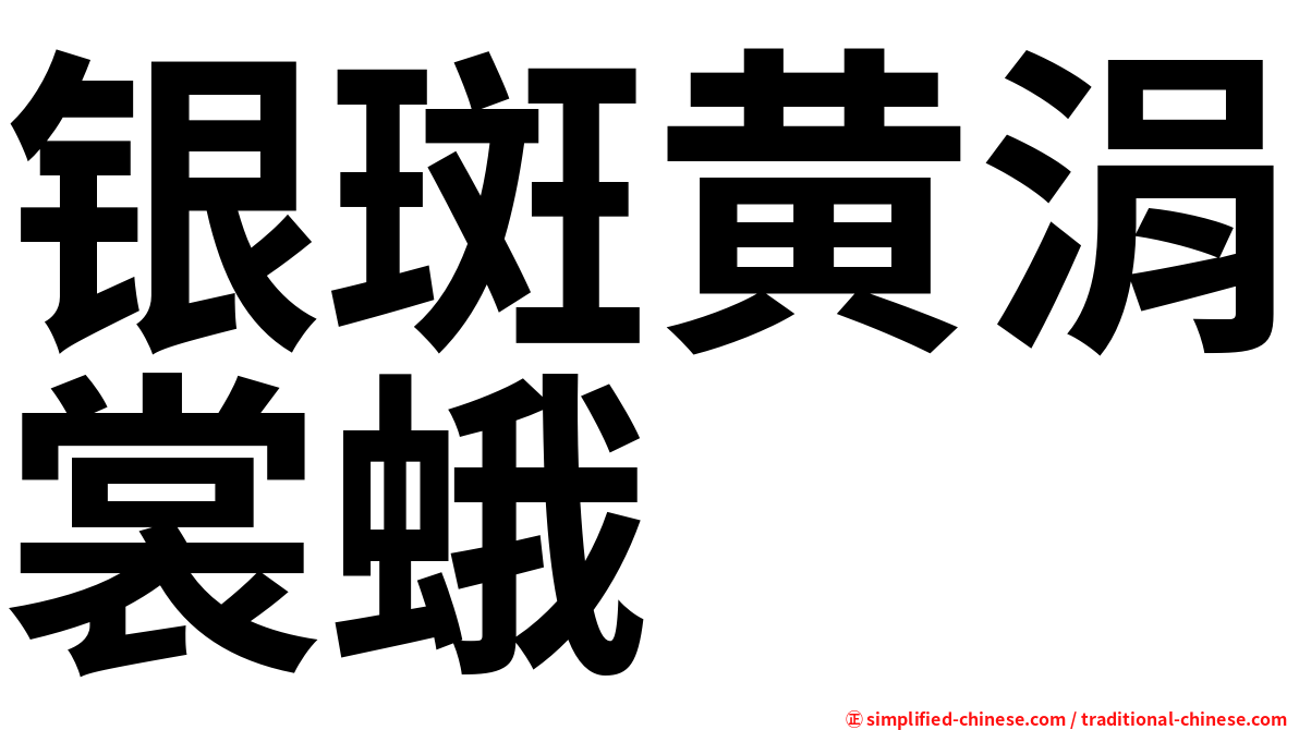 银斑黄涓裳蛾