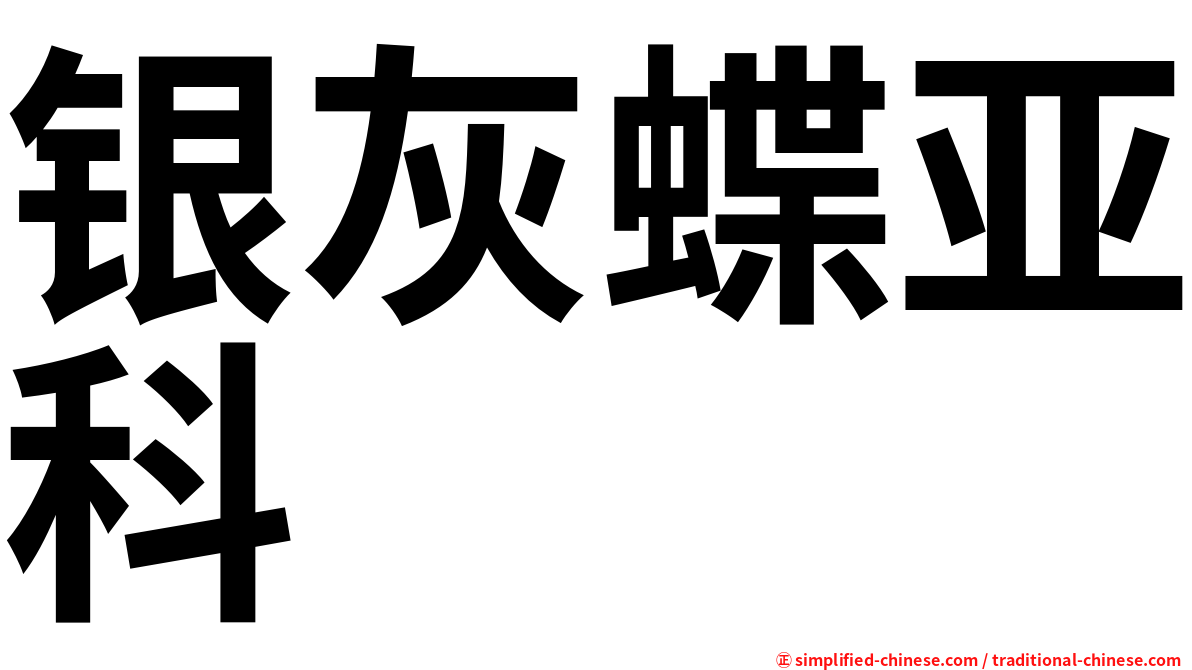 银灰蝶亚科