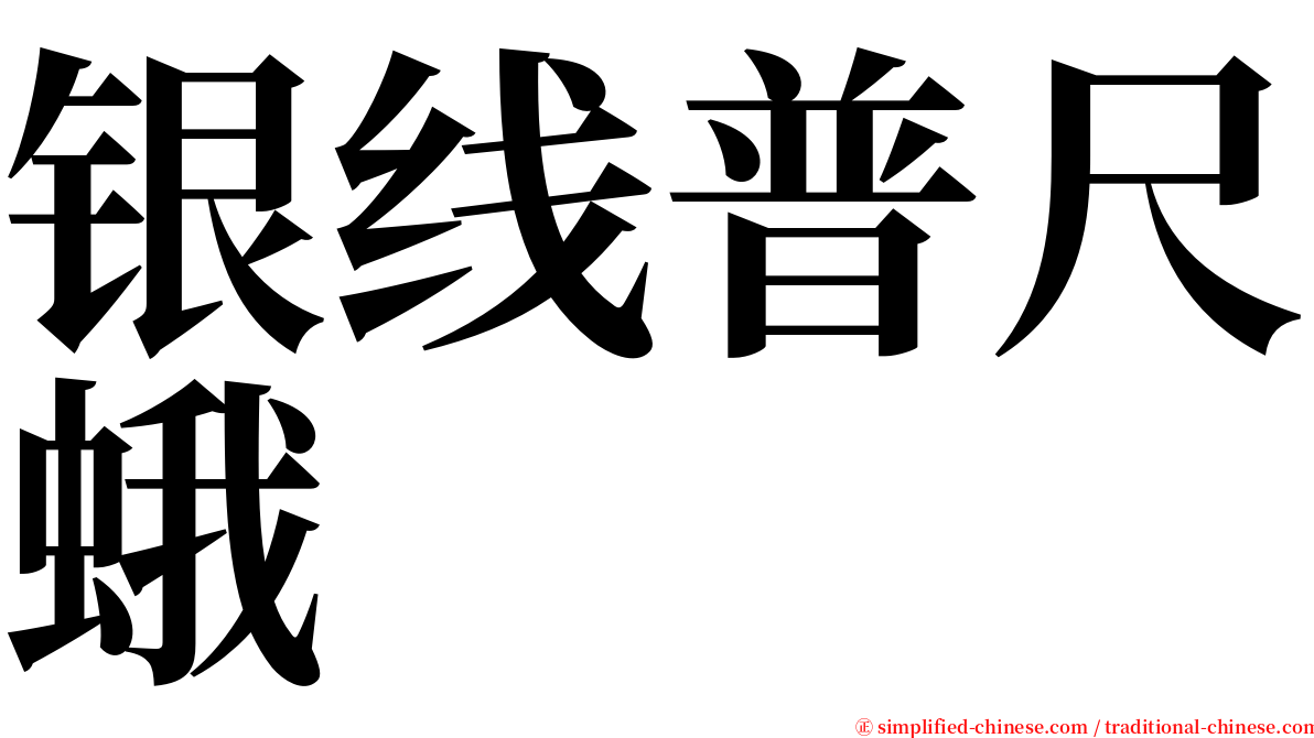 银线普尺蛾 serif font