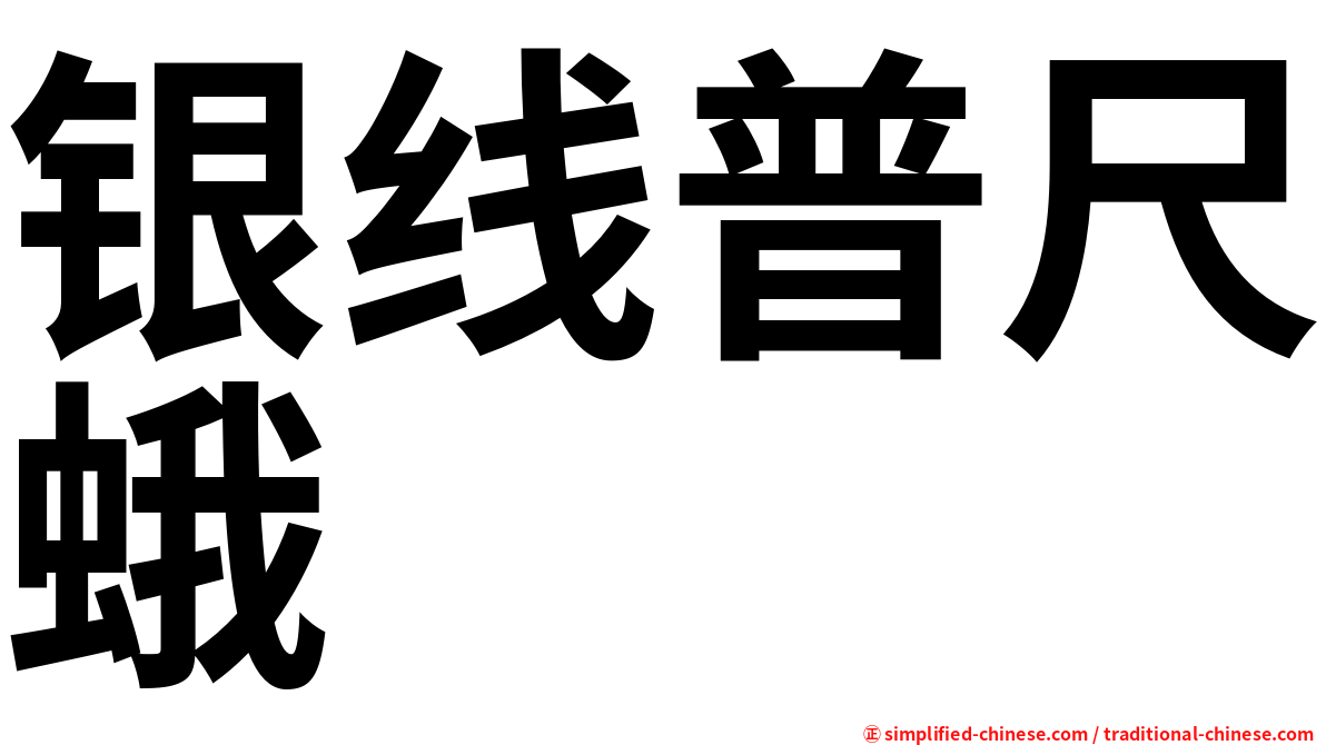 银线普尺蛾