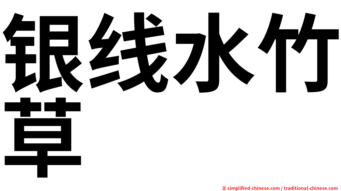 银线水竹草