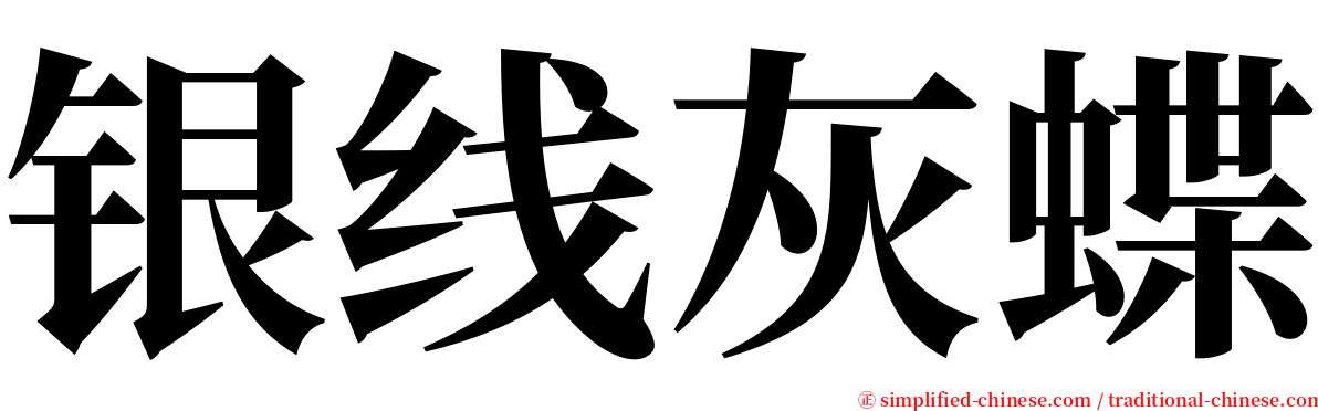 银线灰蝶 serif font