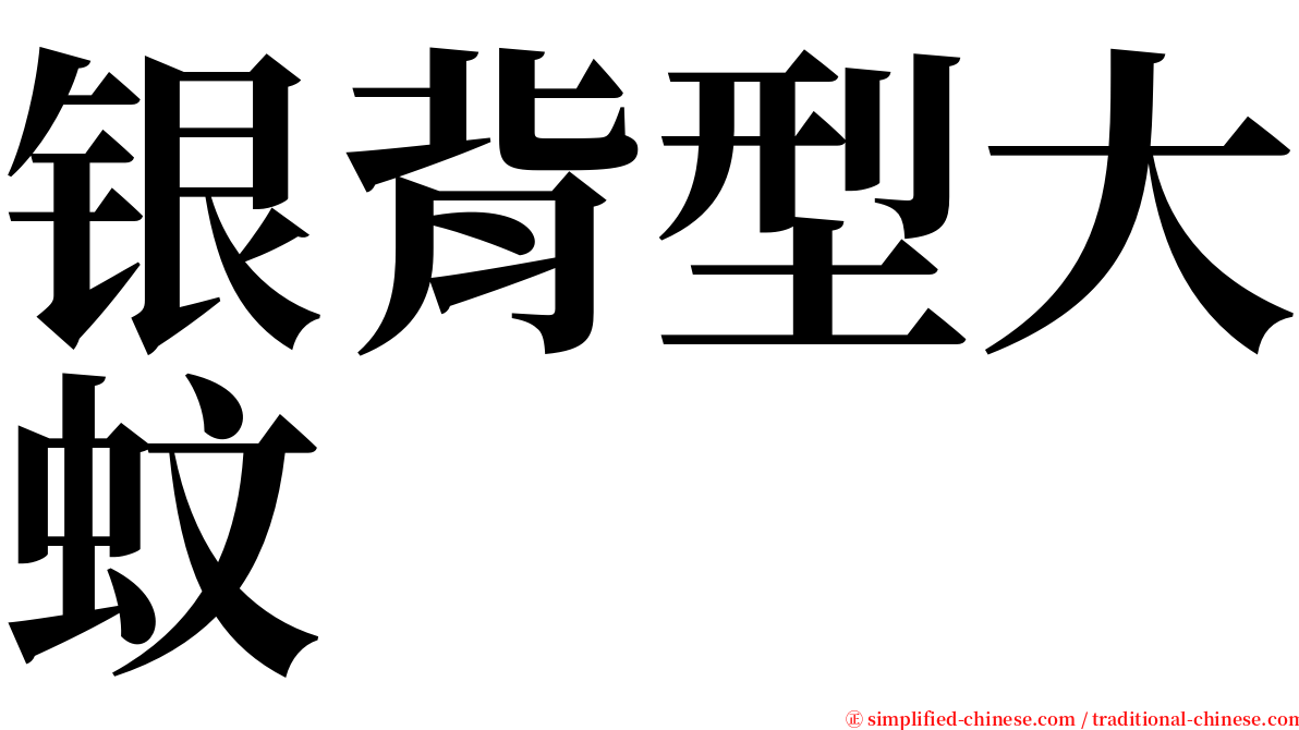 银背型大蚊 serif font