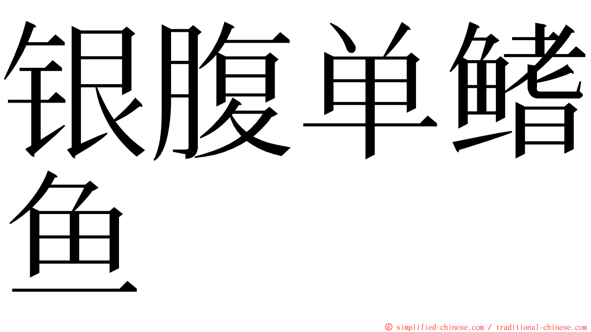 银腹单鳍鱼 ming font