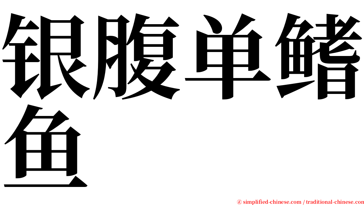 银腹单鳍鱼 serif font