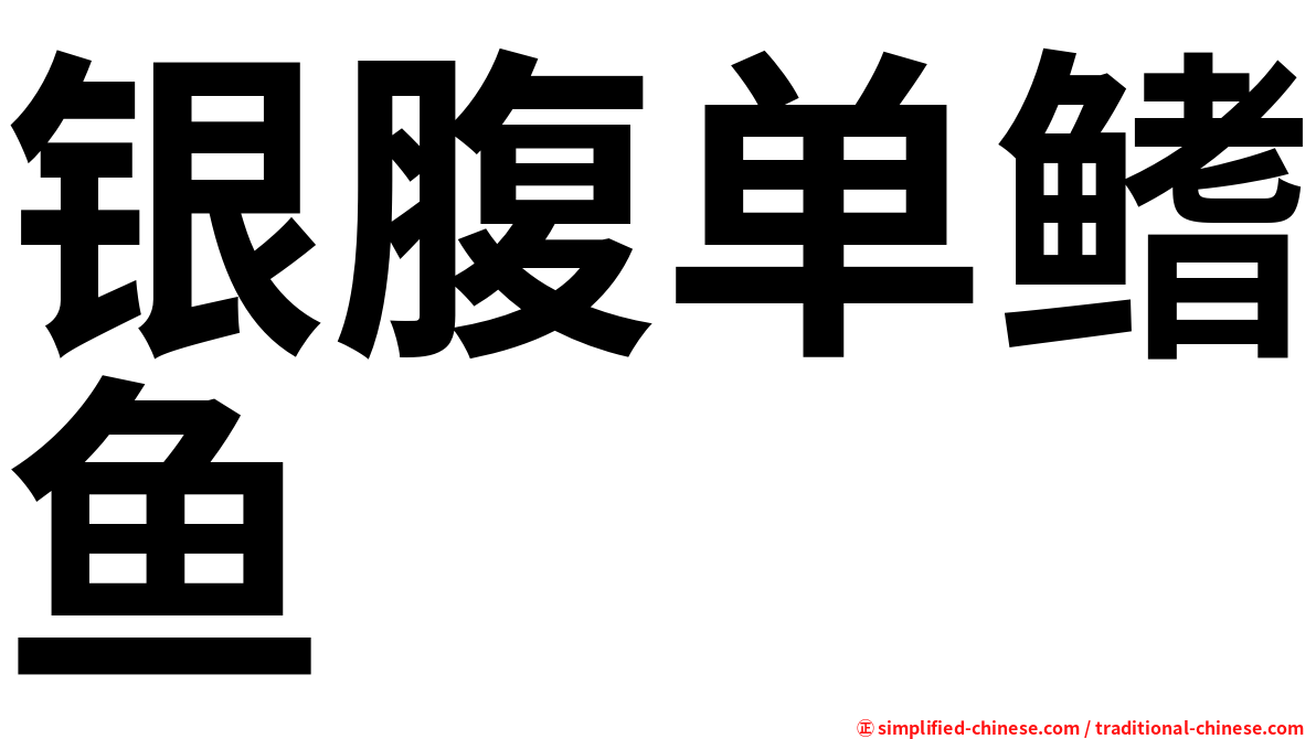 银腹单鳍鱼