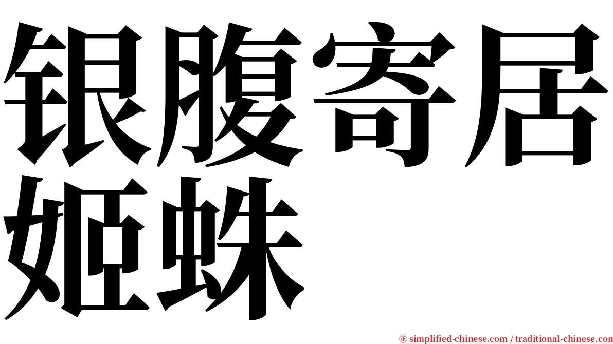 银腹寄居姬蛛 serif font