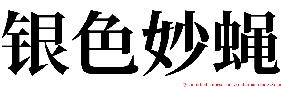 银色妙蝇 serif font