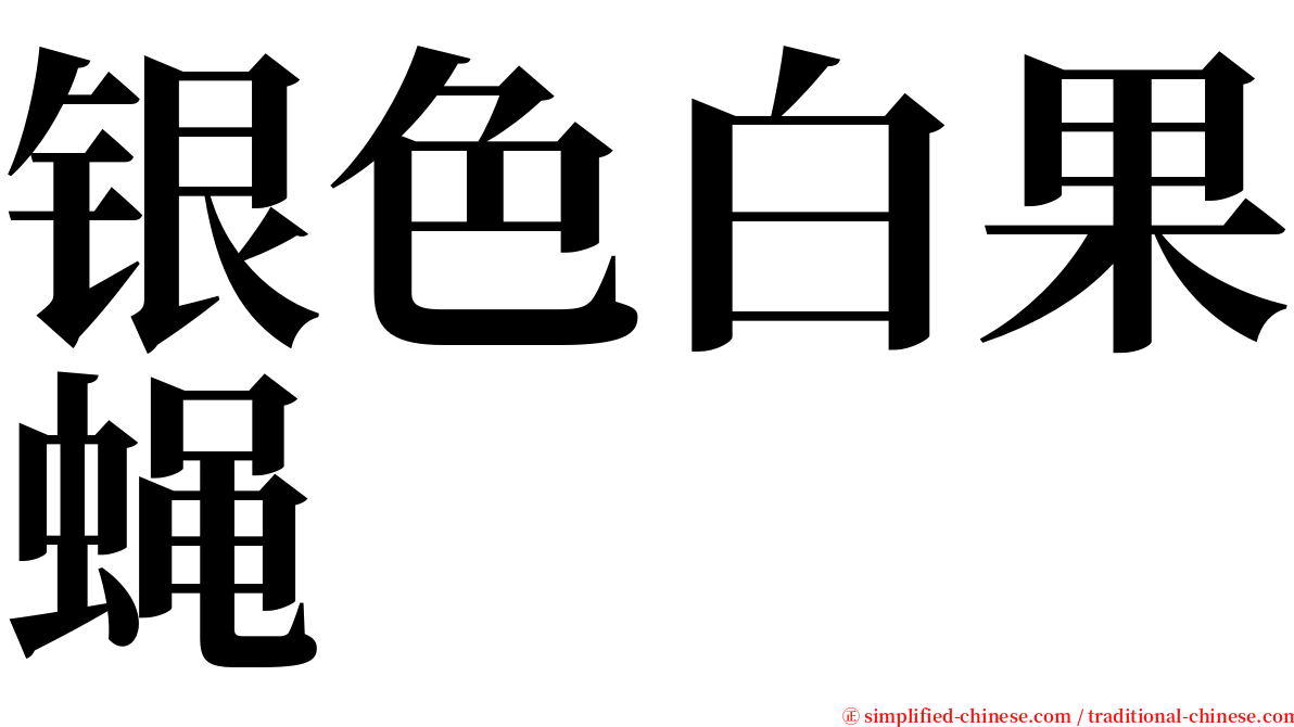 银色白果蝇 serif font