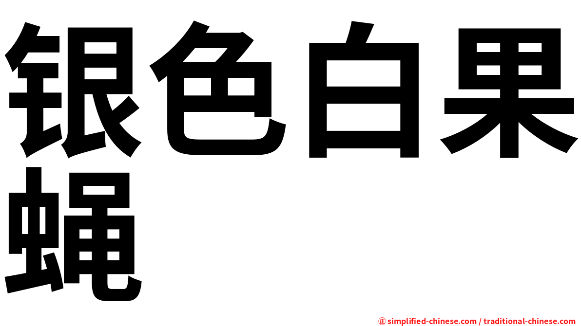 银色白果蝇