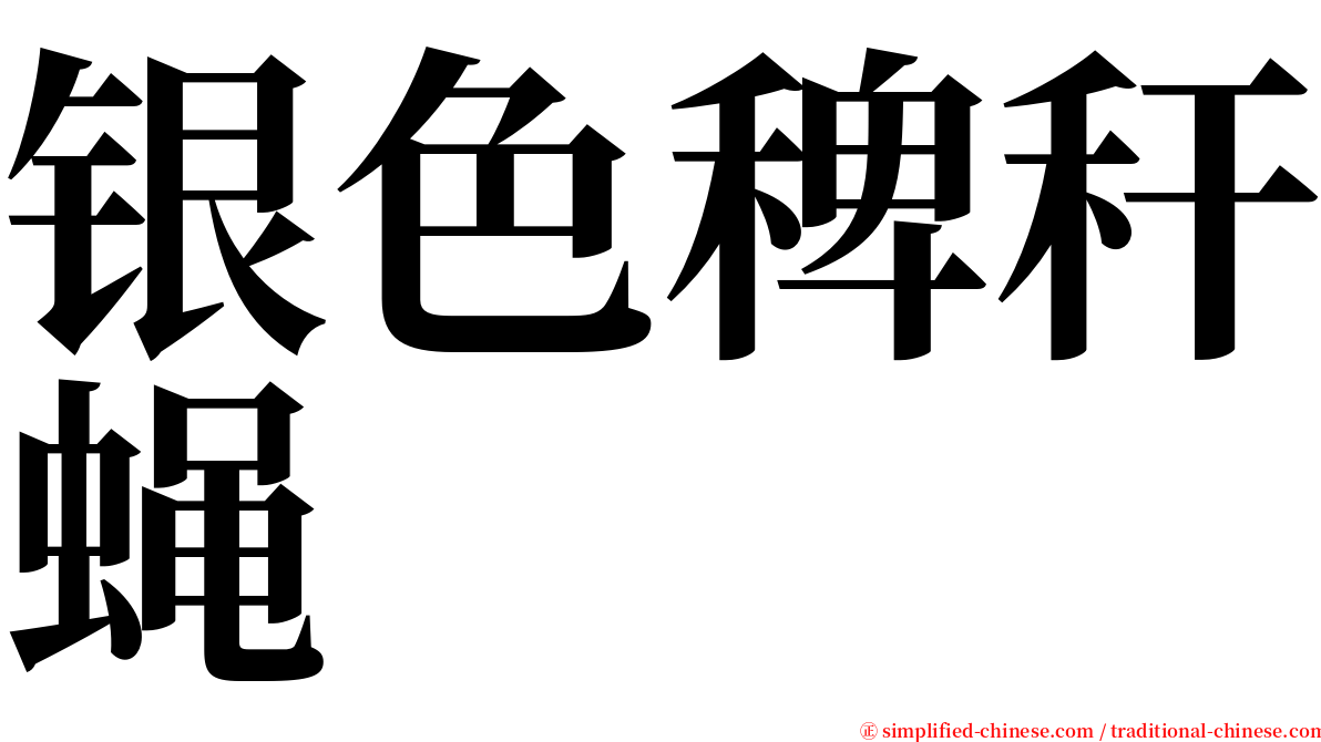 银色稗秆蝇 serif font