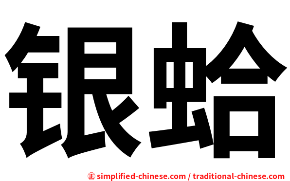 银蛤