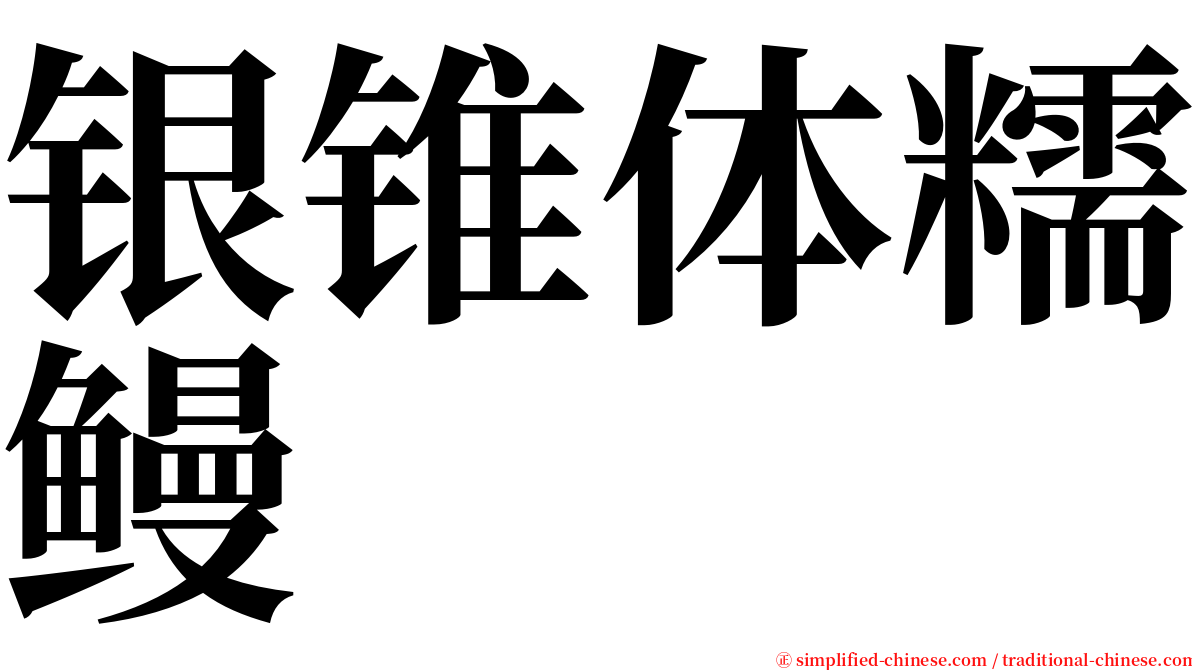 银锥体糯鳗 serif font