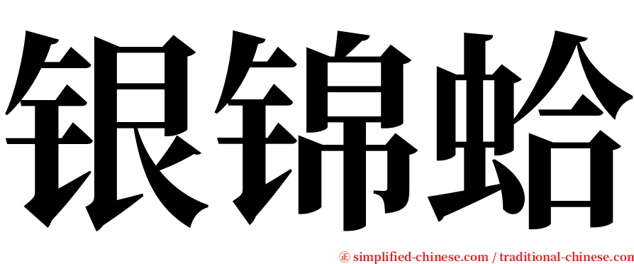 银锦蛤 serif font