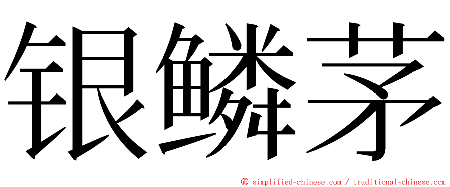 银鳞茅 ming font