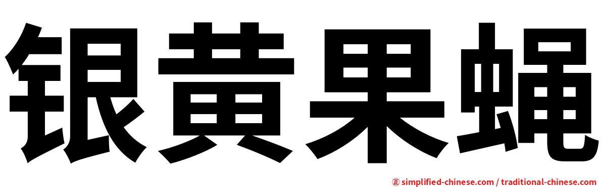 银黄果蝇