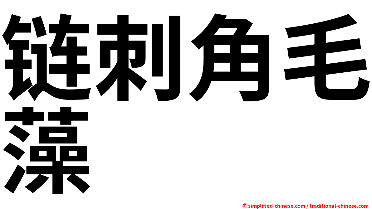 链刺角毛藻