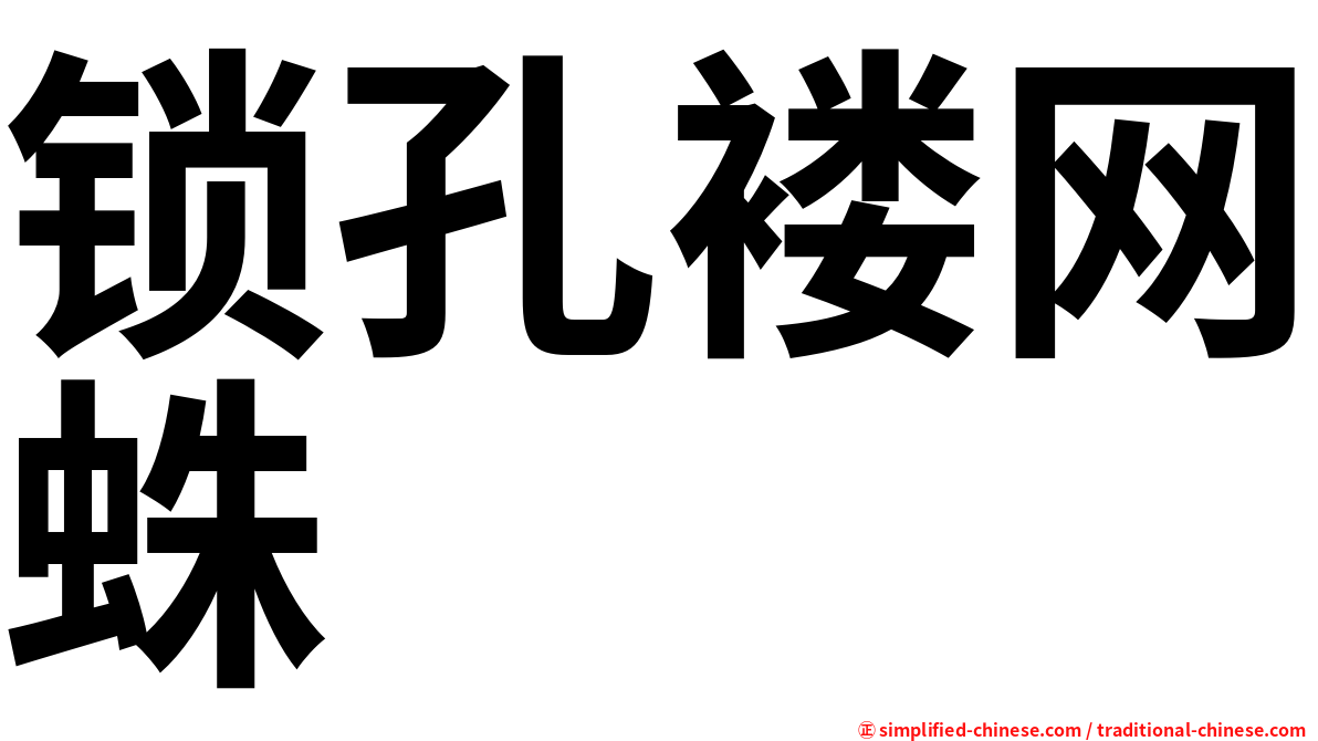 锁孔褛网蛛