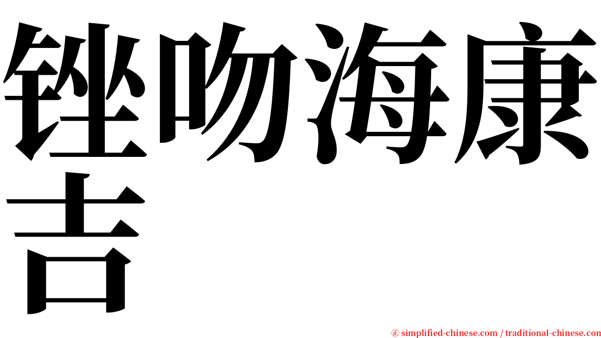 锉吻海康吉 serif font