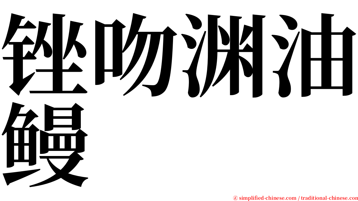 锉吻渊油鳗 serif font
