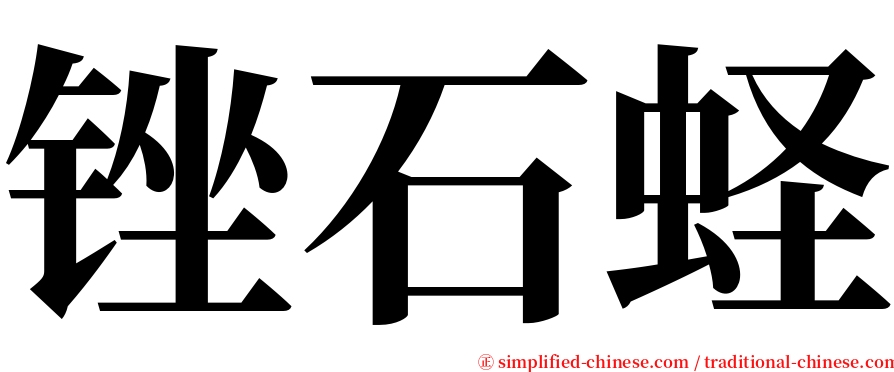 锉石蛏 serif font