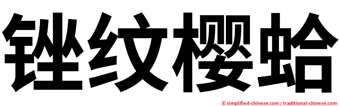 锉纹樱蛤