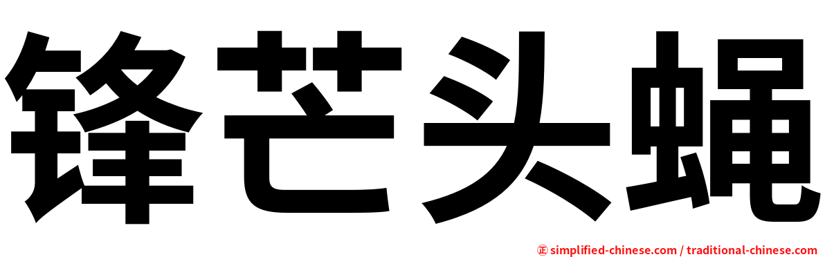 锋芒头蝇