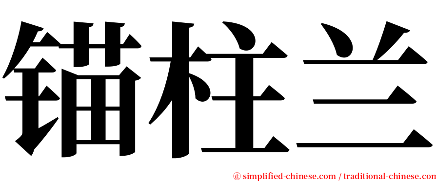 锚柱兰 serif font