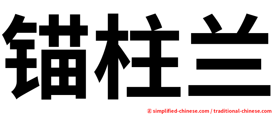 锚柱兰