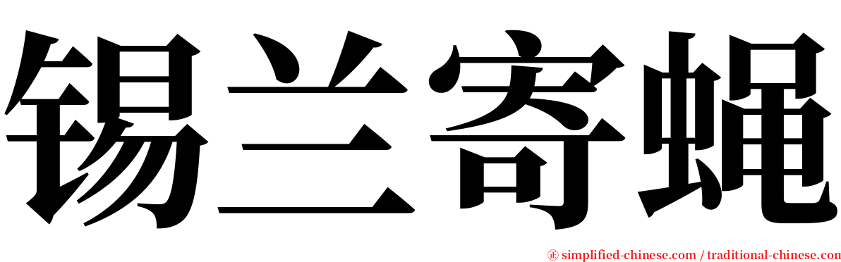 锡兰寄蝇 serif font