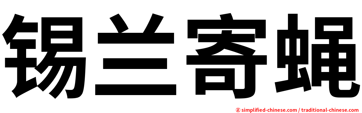 锡兰寄蝇