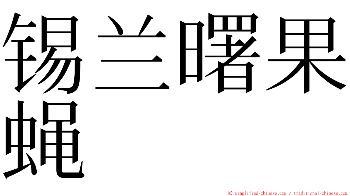 锡兰曙果蝇 ming font