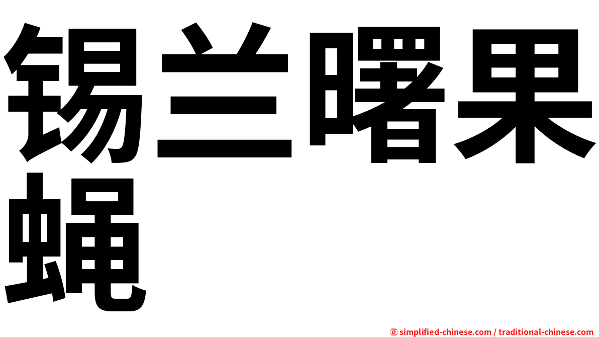 锡兰曙果蝇