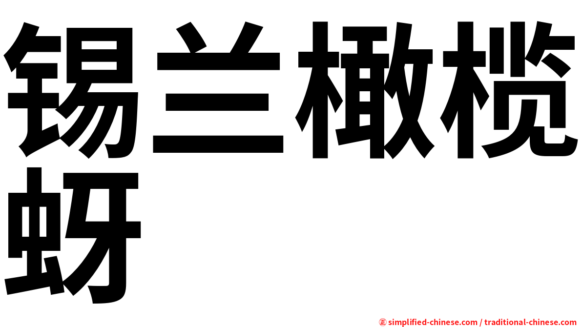 锡兰橄榄蚜