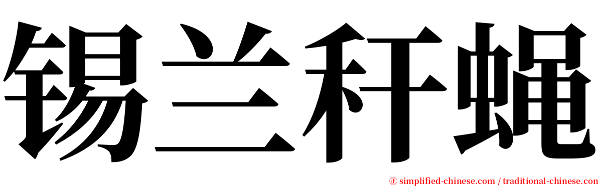 锡兰秆蝇 serif font