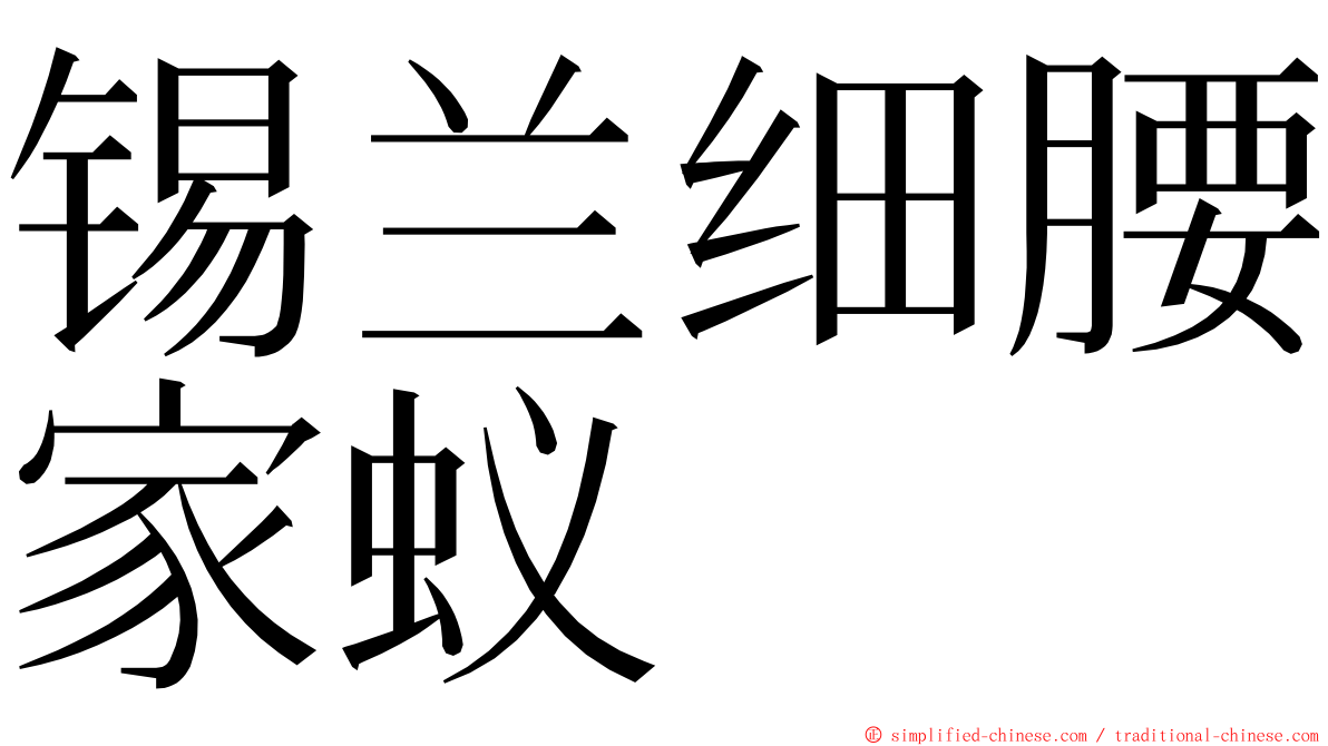 锡兰细腰家蚁 ming font