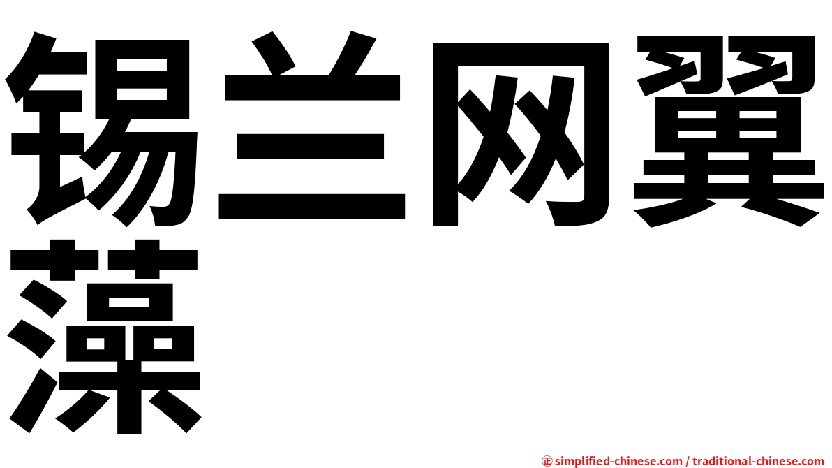 锡兰网翼藻