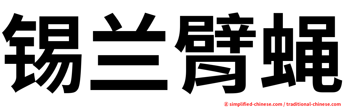 锡兰臂蝇