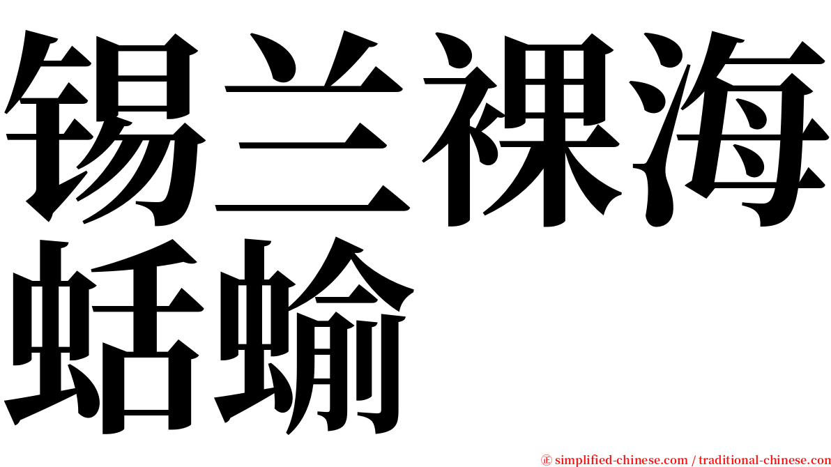 锡兰裸海蛞蝓 serif font