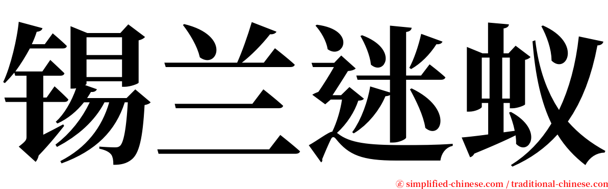 锡兰迷蚁 serif font