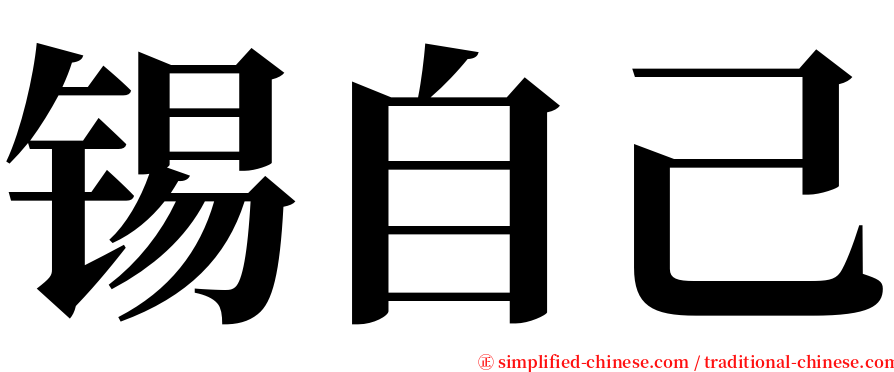 锡自己 serif font