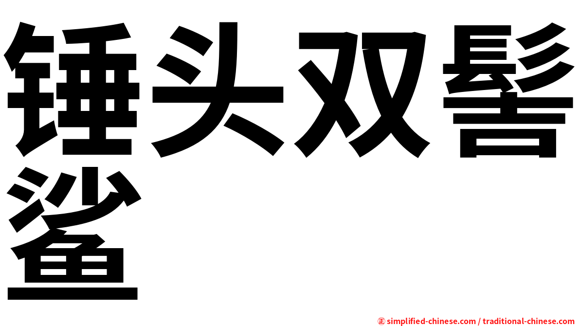 锤头双髻鲨