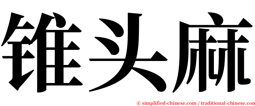 锥头麻 serif font