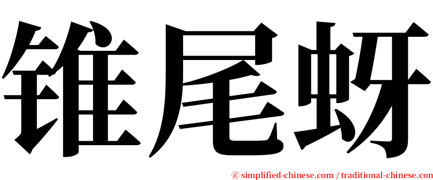 锥尾蚜 serif font