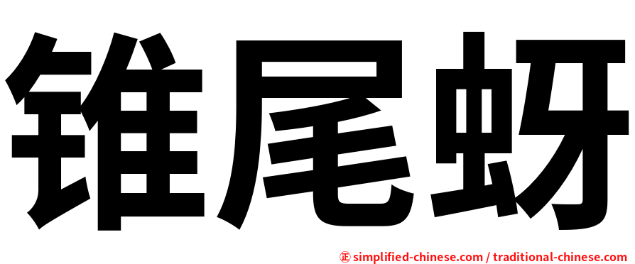 锥尾蚜