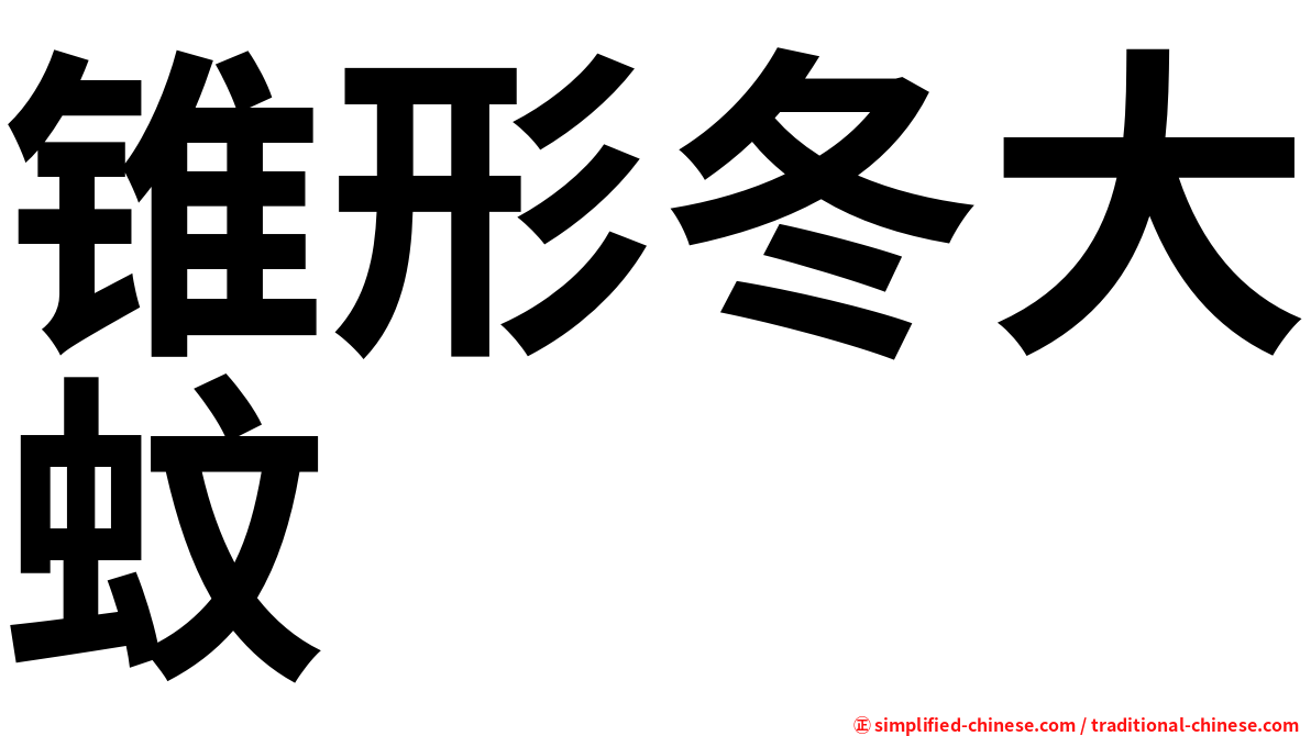 锥形冬大蚊