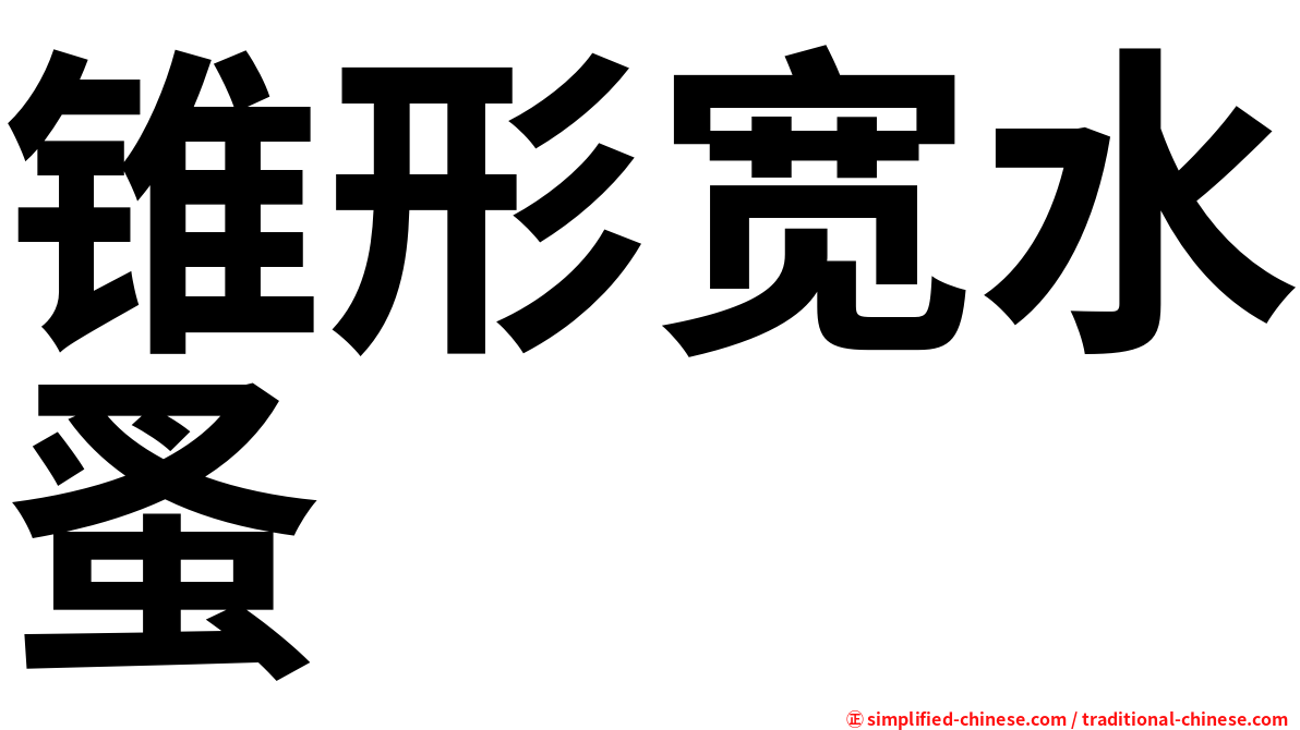 锥形宽水蚤