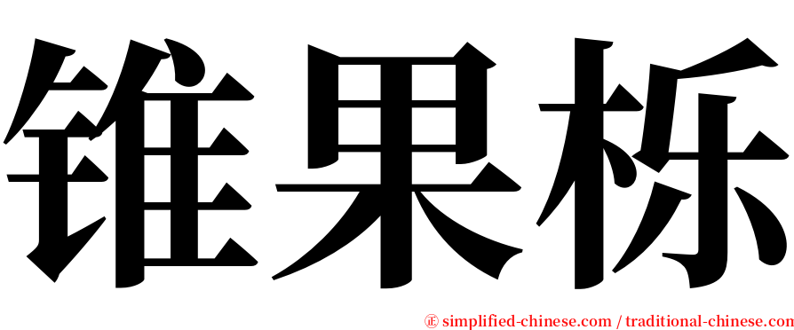 锥果栎 serif font