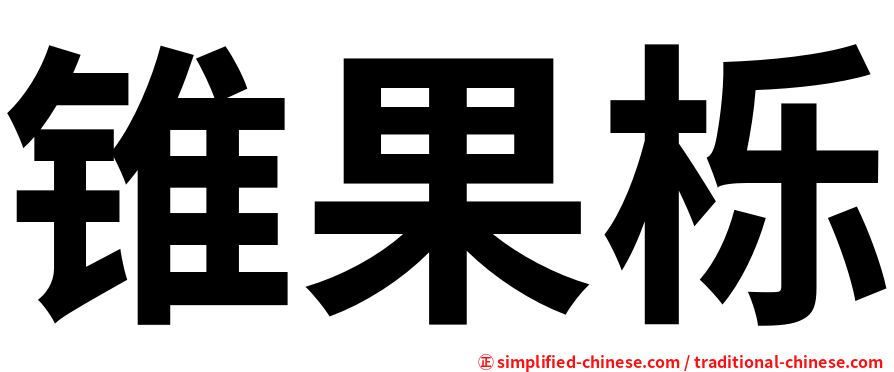 锥果栎