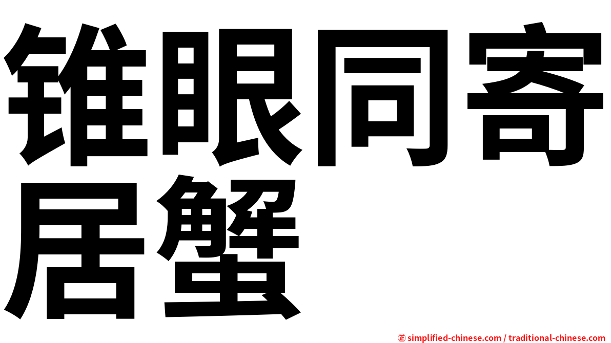 锥眼同寄居蟹